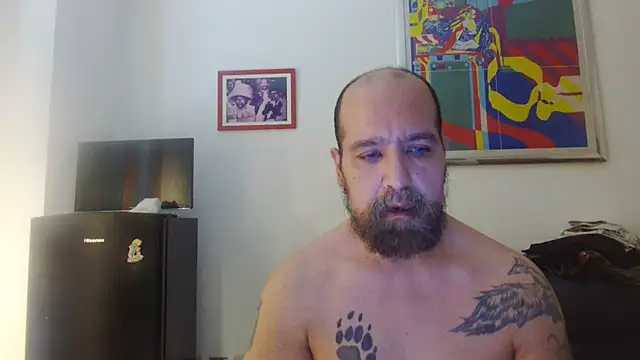 Snapshot of AMIRDIB2025 chatting on 07-19-26, 04:33 AMIRDIB2025 online show from 07-19-26, 04:33