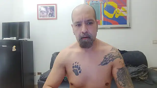 Snapshot of AMIRDIB2025 chatting on 07-28-26, 07:26 AMIRDIB2025 online show from 07-28-26, 07:26