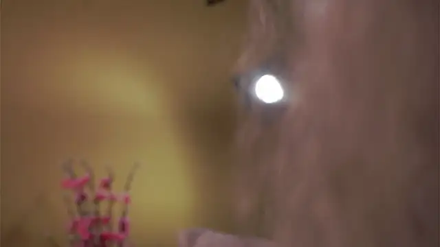 AunclreaVache online show from 03-05-26, 12:56