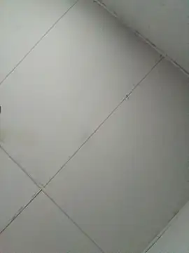 losangelesaid online show from 12-04-25, 12:47