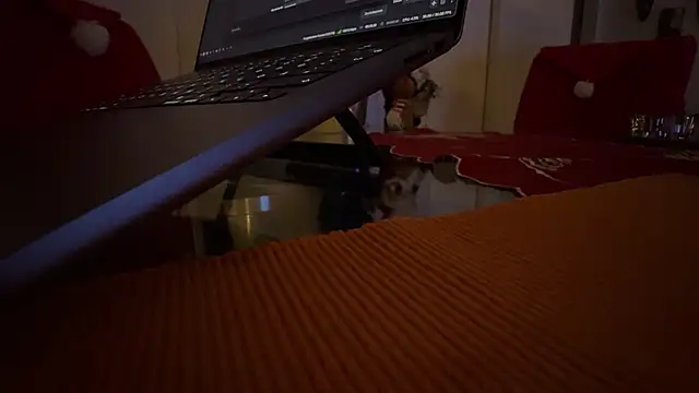 Snapshot of AndyLD20x6 chatting on 12-03-25, 11:14 AndyLD20x6 online show from 12-03-25, 11:14