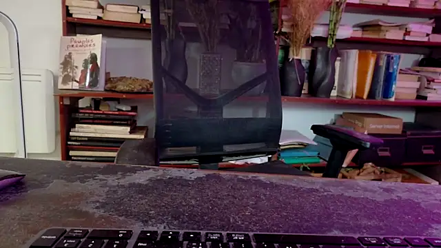 Snapshot of diogene11 chatting on 11-29-25, 08:50 diogene11 online show from 11-29-25, 08:50