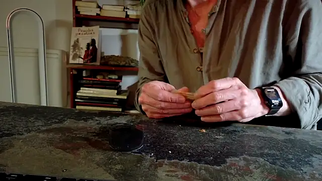 Snapshot of diogene11 chatting on 11-29-25, 10:13 diogene11 online show from 11-29-25, 10:13