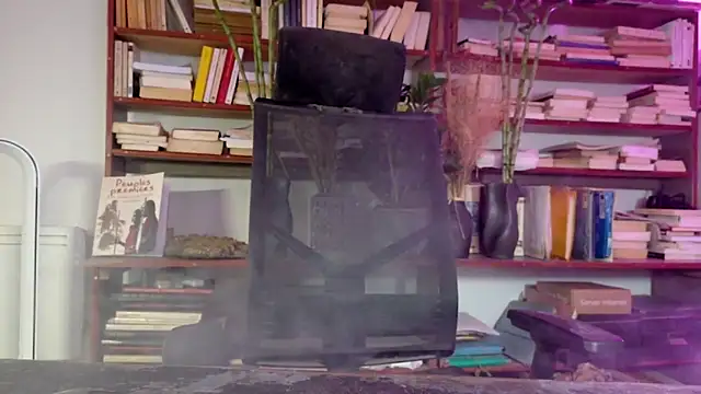 Snapshot of diogene11 chatting on 12-02-25, 03:07 diogene11 online show from 12-02-25, 03:07