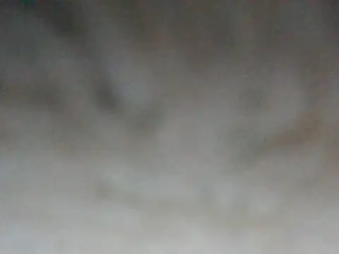 Snapshot of ilove90123 chatting on 03-16-26, 08:24 ilove90123 online show from 03-16-26, 08:24