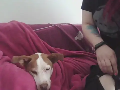 Snapshot of Darkytah chatting on 02-20-26, 03:34 Darkytah online show from 02-20-26, 03:34