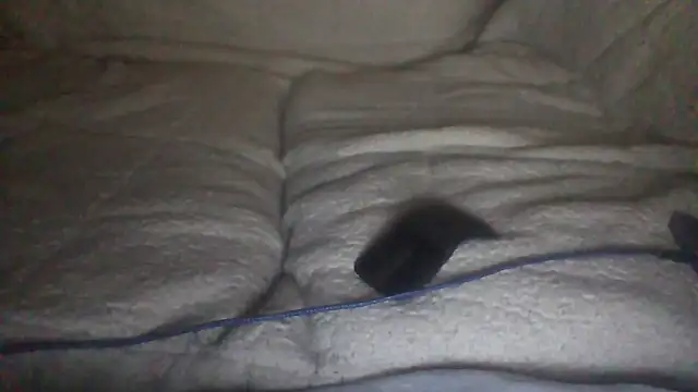 moneymaker50 online show from 12-02-25, 04:51