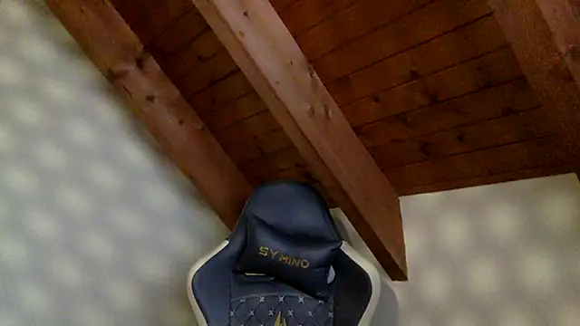 Snapshot of MR_P_Solo_Bassbitch chatting on 12-04-25, 02:59 MR P Solo Bassbitch online show from 12-04-25, 02:59