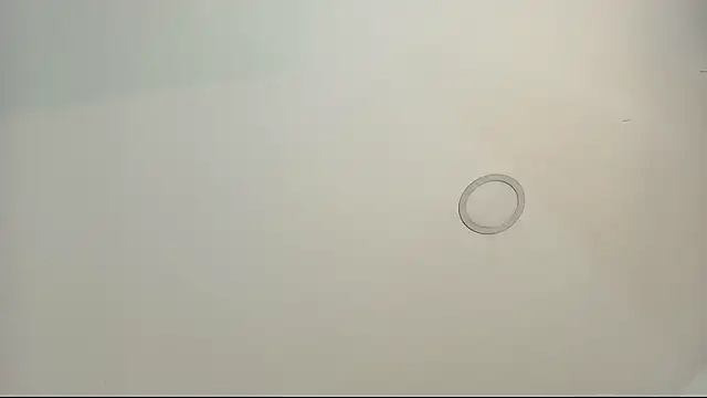 Snapshot of tamara_walter chatting on 02-13-26, 03:52 tamara walter online show from 02-13-26, 03:52