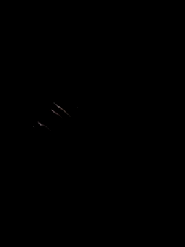 ava-dellght online show from 03-27-26, 03:45