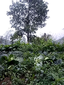 sary-hot2x online show from 02-24-26, 10:46