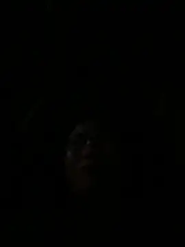 vero-obc online show from 04-26-26, 12:52