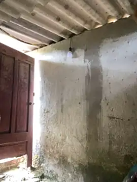 Snapshot of Samsam-006 chatting on 01-17-26, 05:56 Samsam-006 online show from 01-17-26, 05:56