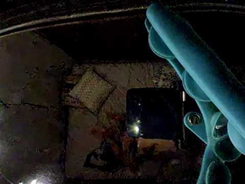 badgirlandjunior69 online show from 04-29-26, 10:30