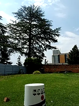 Snapshot of PetiteDoll_06 chatting on 02-21-26, 11:55 PetiteDoll 06 online show from 02-21-26, 11:55