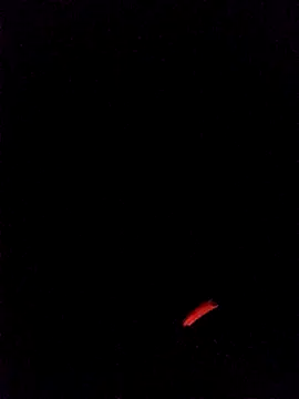 Snapshot of leobct555 chatting on 03-22-26, 03:10 leobct555 online show from 03-22-26, 03:10