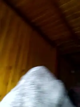 neko-nancy online show from 02-28-26, 02:29