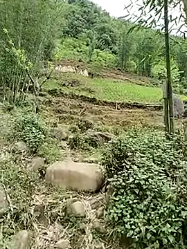 neko-nancy online show from 04-29-26, 07:34