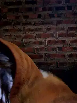 Snapshot of yana-zz chatting on 01-13-26, 12:27 yana-zz online show from 01-13-26, 12:27