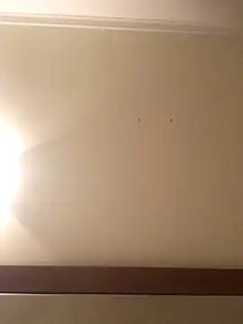 Snapshot of Palinchik chatting on 01-07-26, 09:39 Palinchik online show from 01-07-26, 09:39