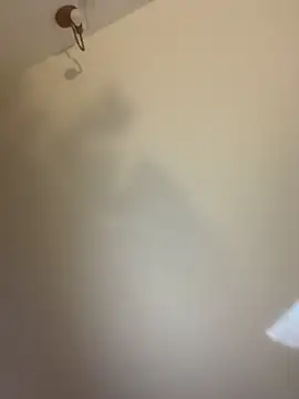 Lena-Williamss online show from 04-25-26, 06:05