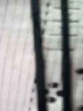 teena-11 online show from 03-23-26, 02:21