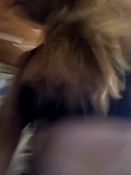 Snapshot of cari75 chatting on 02-03-26, 02:53 cari75 online show from 02-03-26, 02:53