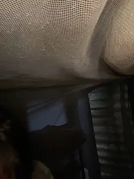 Nika-be online show from 02-11-26, 03:44