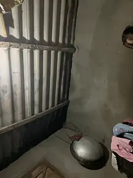 Nika-be online show from 03-05-26, 12:34