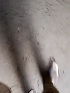 Nick universal online show from 02-28-26, 01:06