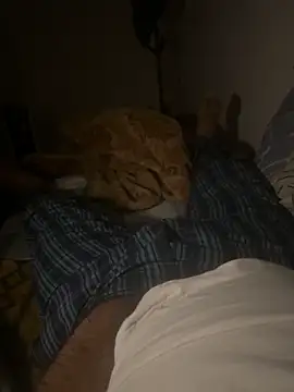 Night outcam online show from 02-17-26, 07:20