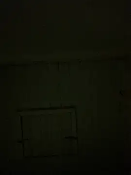 Snapshot of reckless_34 chatting on 02-07-26, 11:52 reckless 34 online show from 02-07-26, 11:52