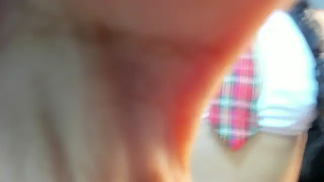 valeria dark  online show from 01-17-26, 08:12