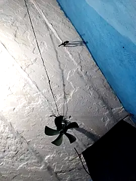 Akanksha soni online show from 03-03-26, 08:26