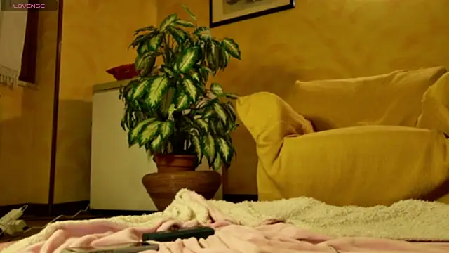 Snapshot of mark_ariete chatting on 02-24-26, 06:39 mark ariete online show from 02-24-26, 06:39