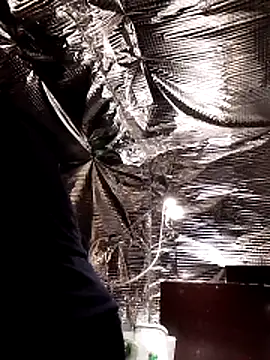 Snapshot of Quebec46 chatting on 02-20-26, 10:10 Quebec46 online show from 02-20-26, 10:10