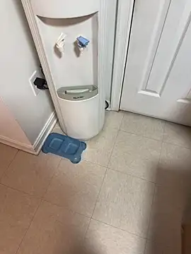 tigre6911 online show from 12-16-25, 09:36