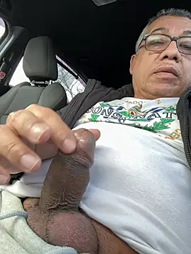 tigre6911 online show from 02-26-26, 05:12