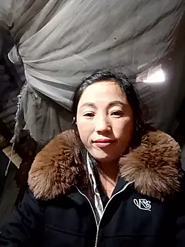 seacyre online show from 01-11-26, 12:37