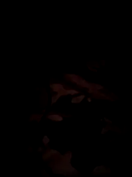 bnglrboy0886 online show from 12-17-25, 07:31