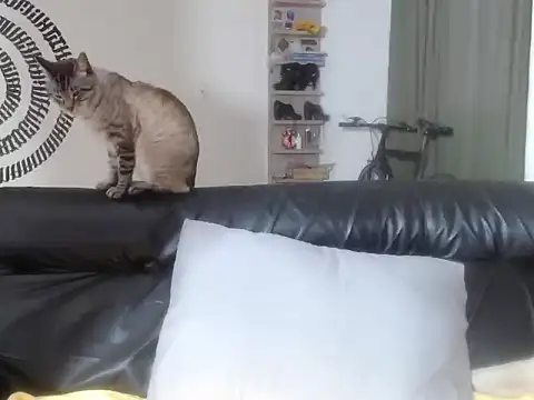 BeautyYoungblond online show from 04-27-26, 11:03