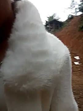 Girl cutee online show from 02-01-26, 09:19