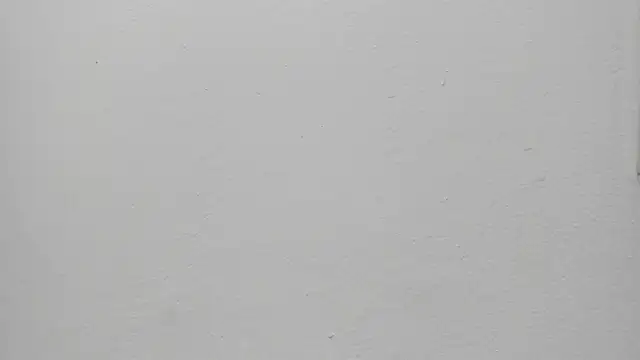 ariloe quintero online show from 03-30-26, 01:34