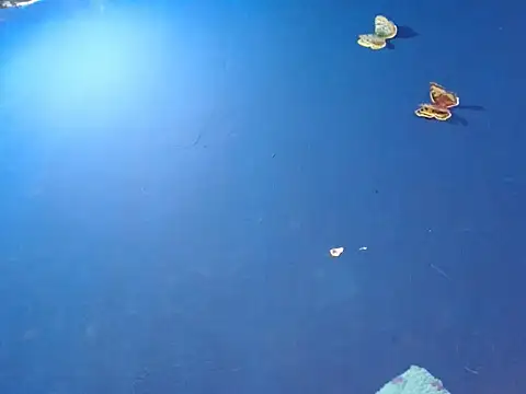 Snapshot of sk8-boy chatting on 12-18-25, 01:39 sk8-boy online show from 12-18-25, 01:39