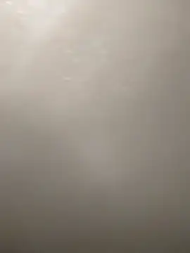 Snapshot of Camellia-Pink chatting on 03-16-26, 06:17 Camellia-Pink online show from 03-16-26, 06:17