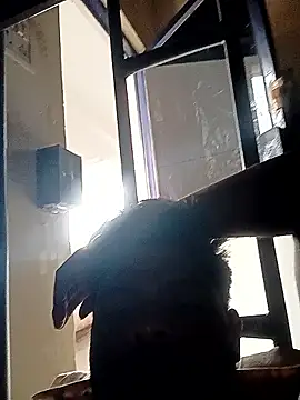 Anji8639 online show from 04-19-26, 11:53