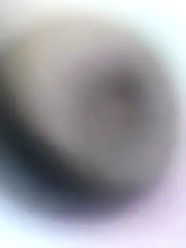 novio-de-la-tarde online show from 04-28-26, 12:20