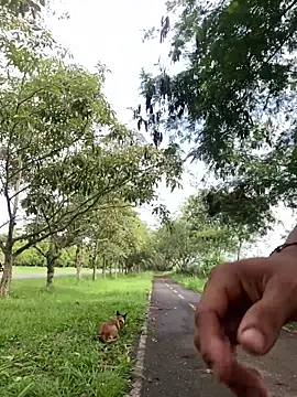 Maicol xxxx online show from 03-12-26, 02:01