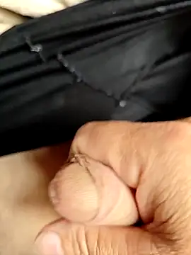 Snapshot of luis8558 chatting on 03-24-26, 04:45 luis8558 online show from 03-24-26, 04:45