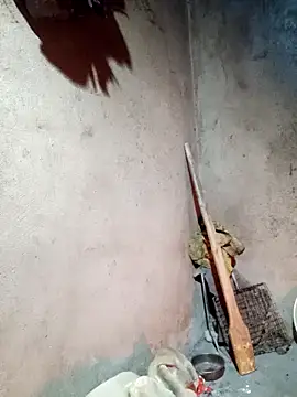 Snapshot of yula-bi chatting on 02-24-26, 12:14 yula-bi online show from 02-24-26, 12:14